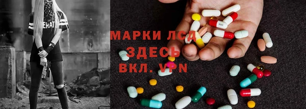 трава Абаза